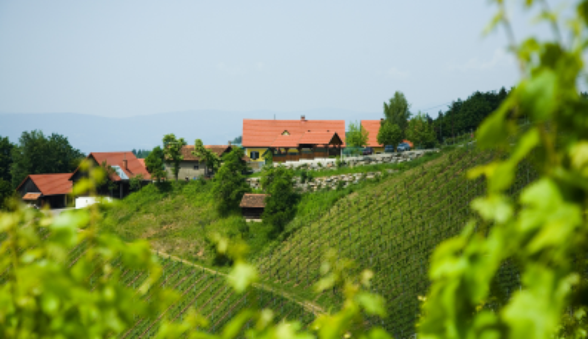 Weingut Klug