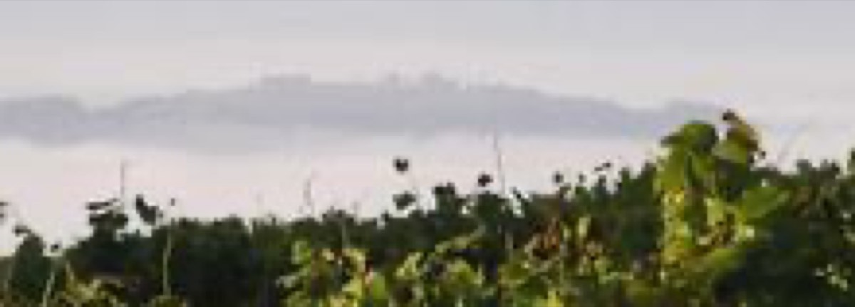 Weingut Winzerzimmer Bockmoar