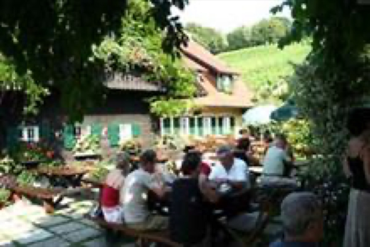 Weingut Buschenschank Winzerzimmer Schneiderannerl