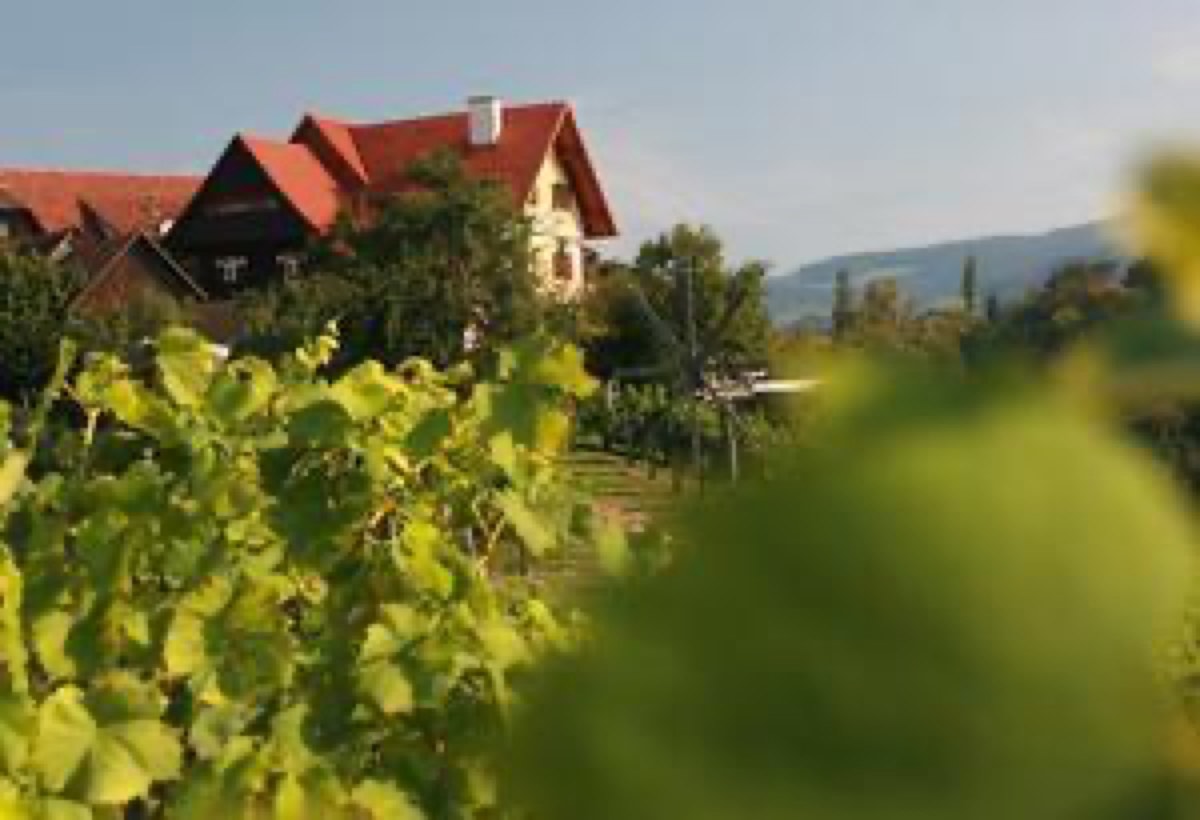 Winzerzimmer-Weinhof Narat-Zitz