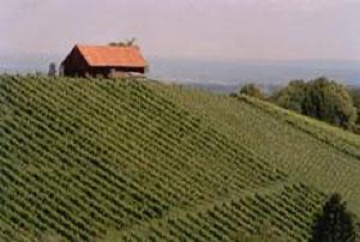 Weingut Schwarzl