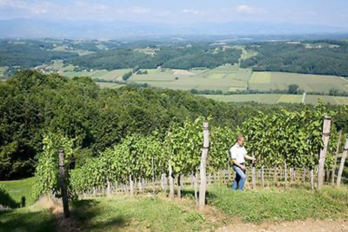 Winzerzimmer Strablegg