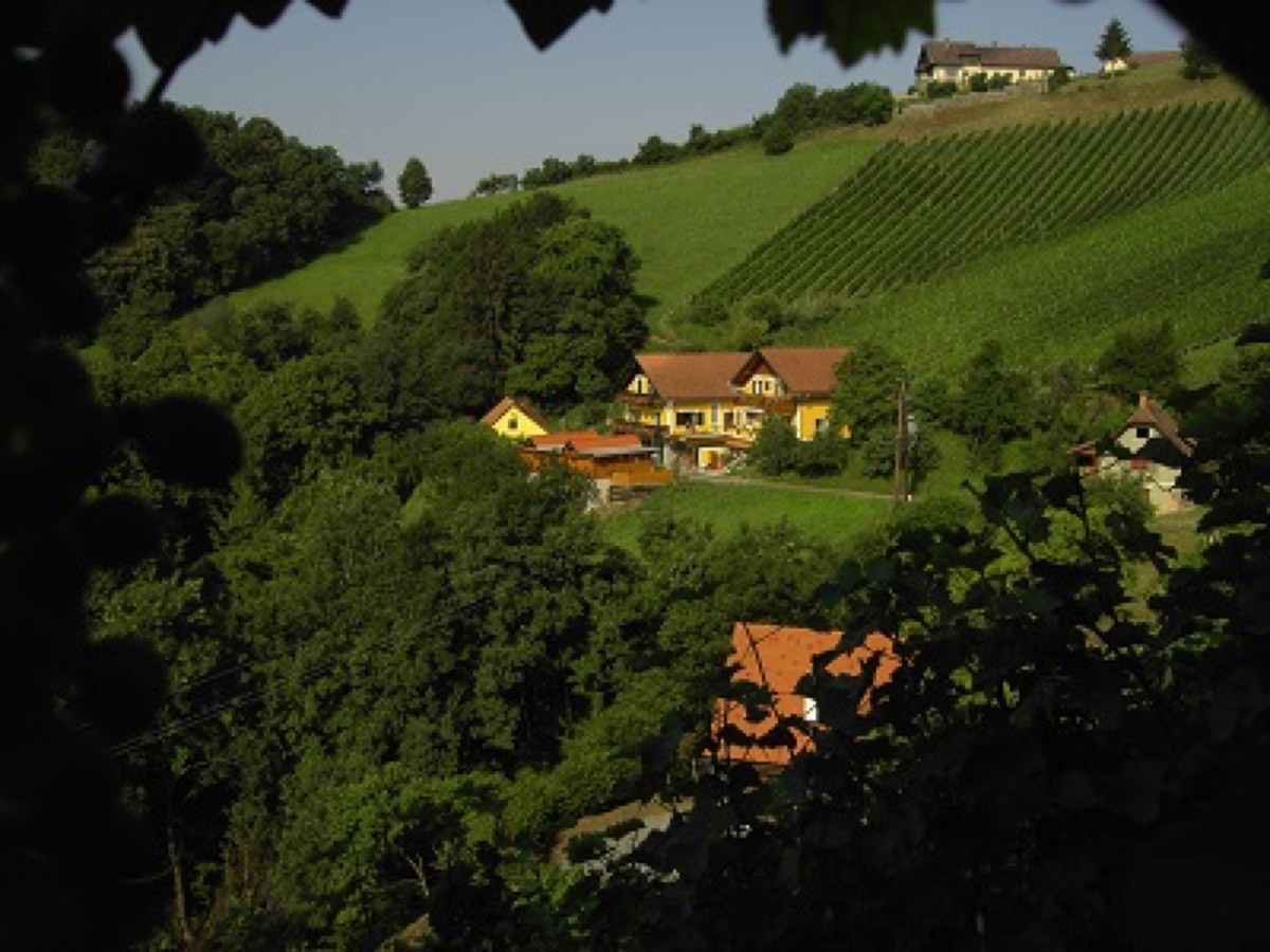 Weingut - Buschenschank -  Gästezimmer Stoff