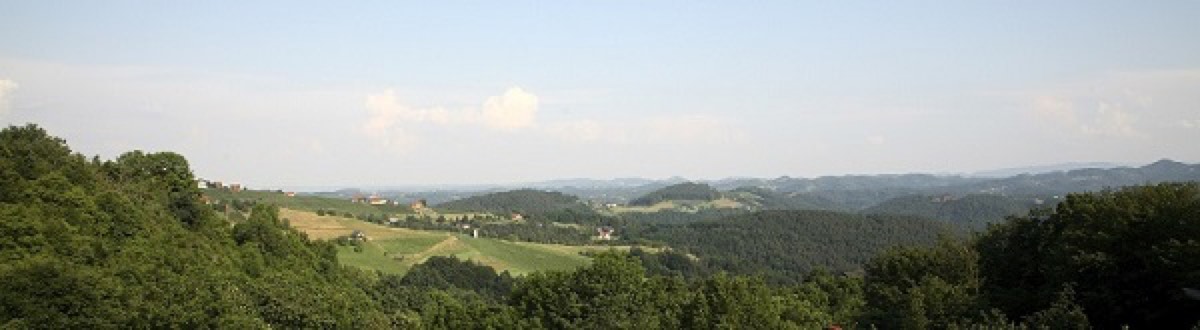 Weingut - Buschenschank -  Gästezimmer Stoff
