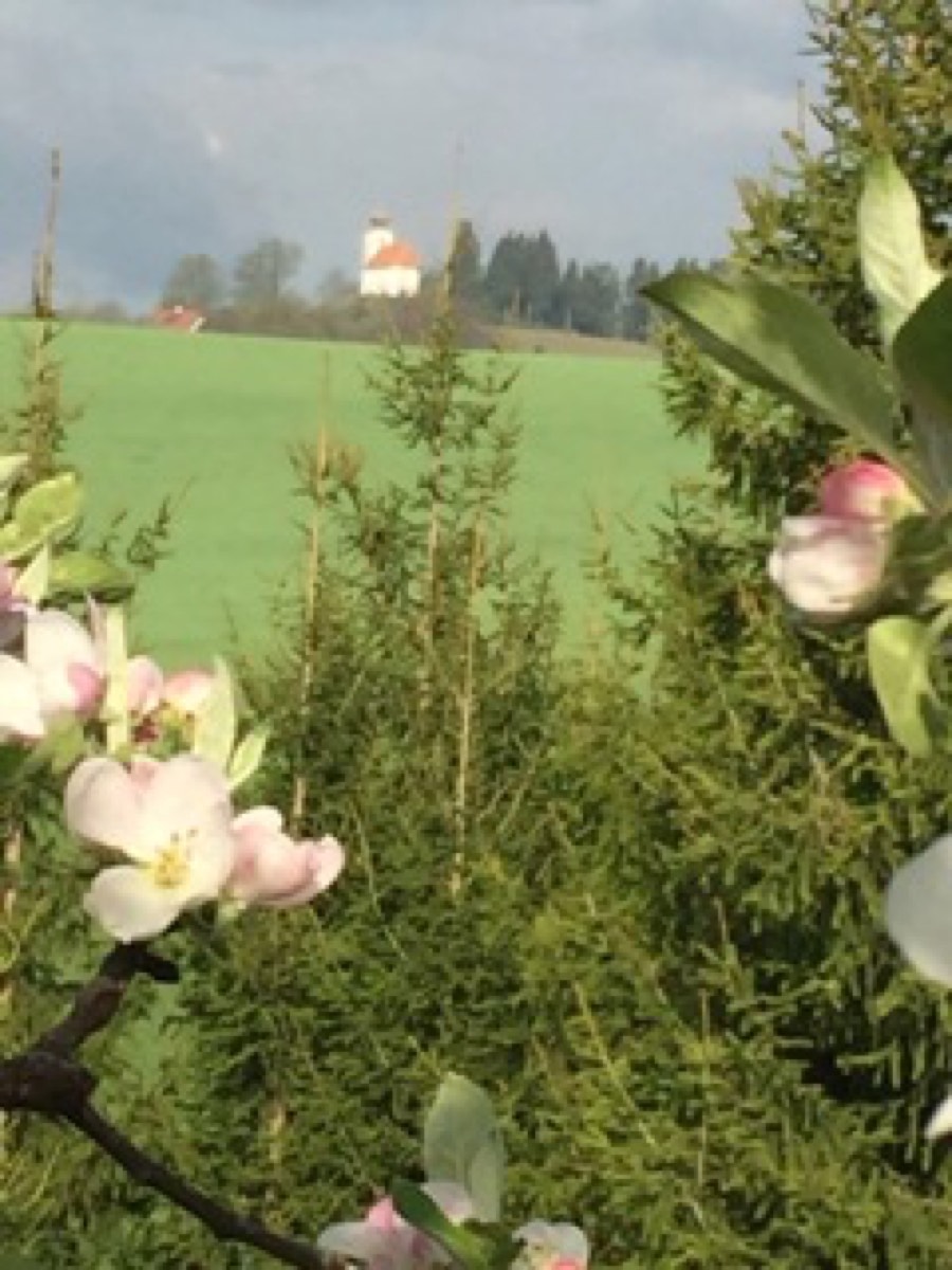 Bauernhof Muchitsch-Krispel