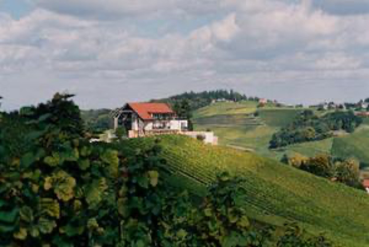Weingut - Gästezimmer R. Zweytick
