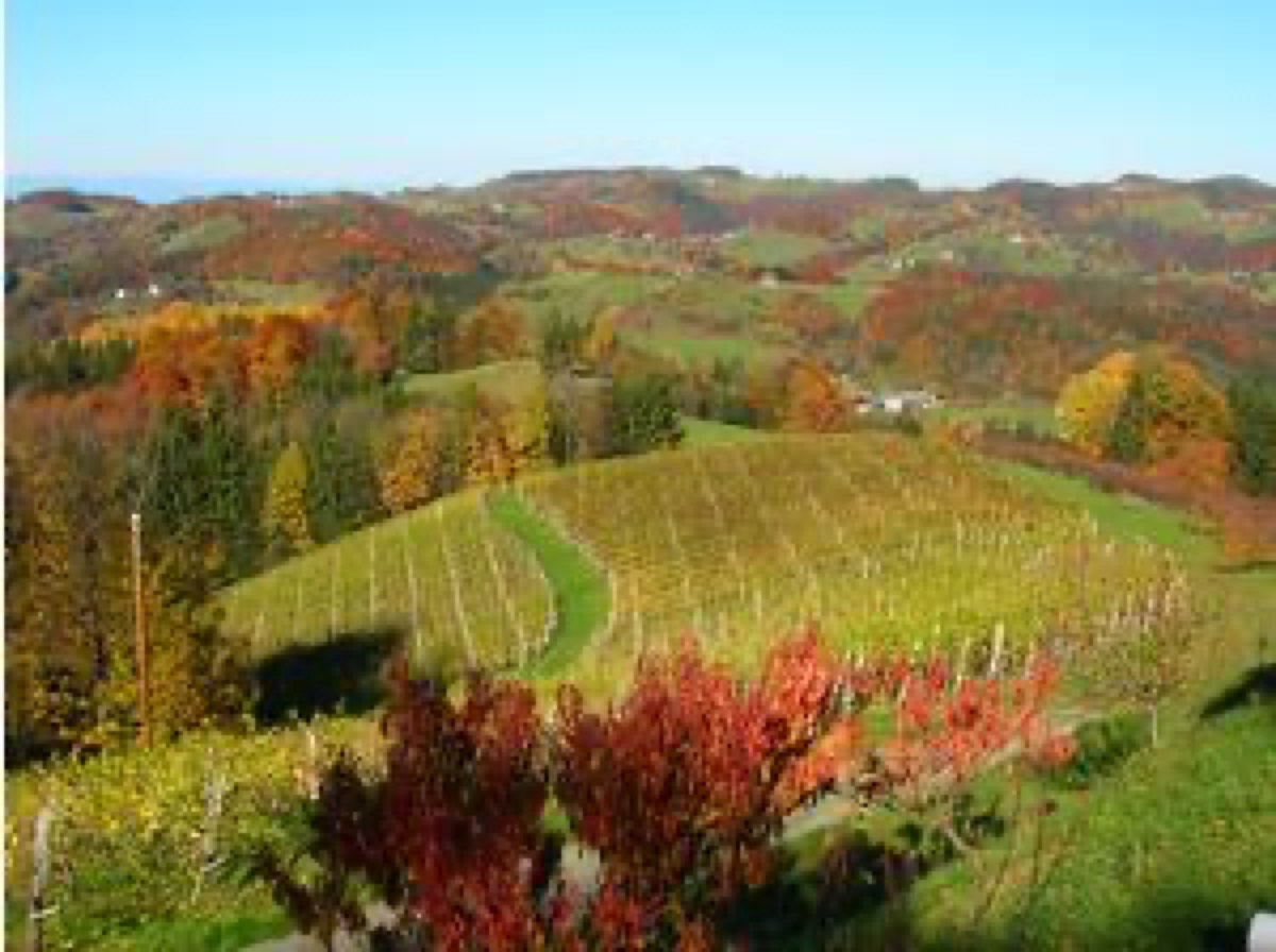 Weingut Sternat-Lenz