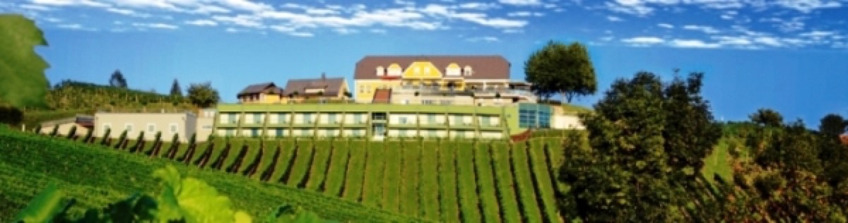 Weingut-Gästezimmer-Buschenschank Brolli