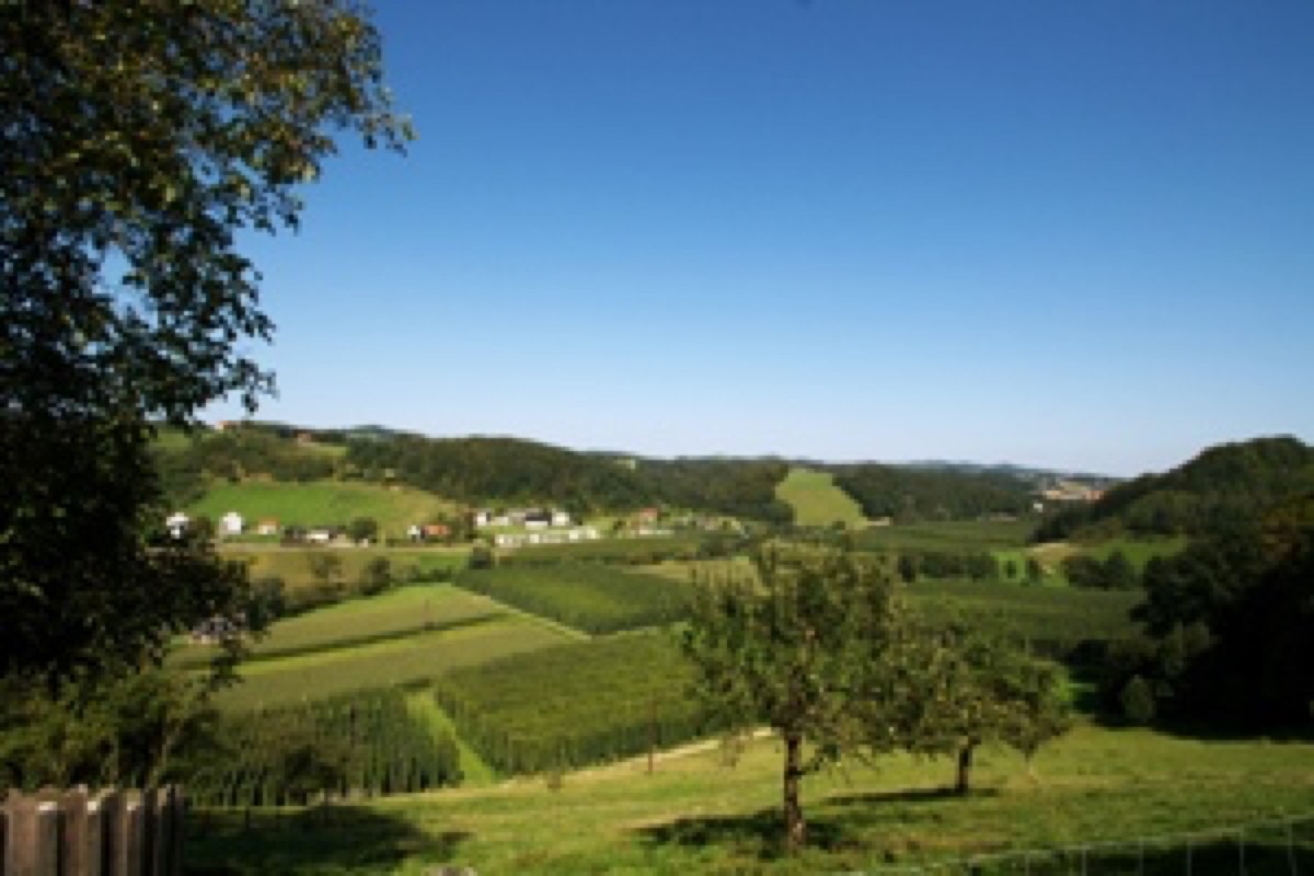 Hopfenhof Poscharnik