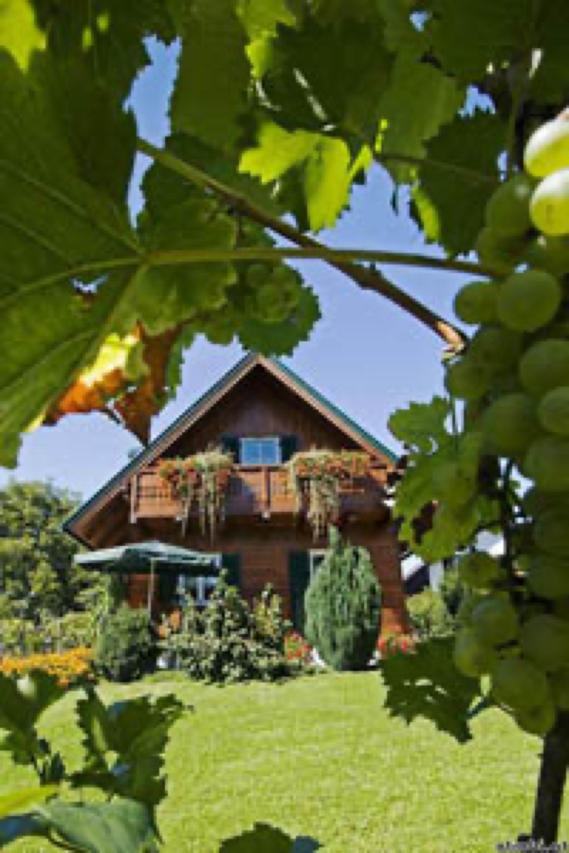 Ferienhaus Trabi