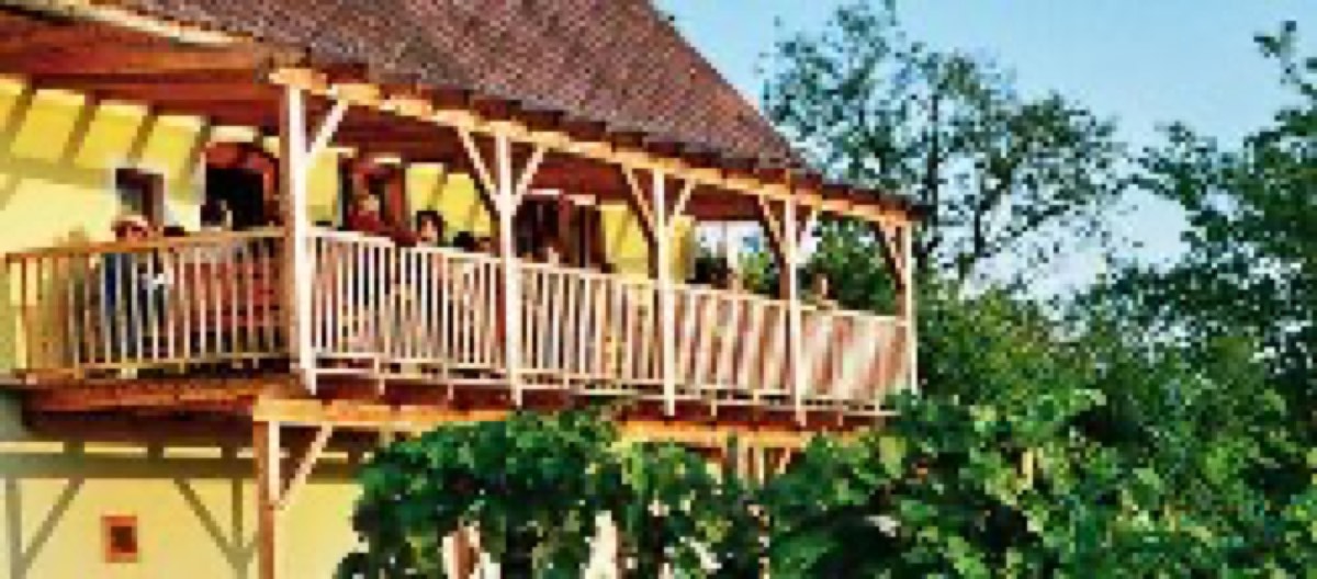 Weinbau Skringer - Ranz