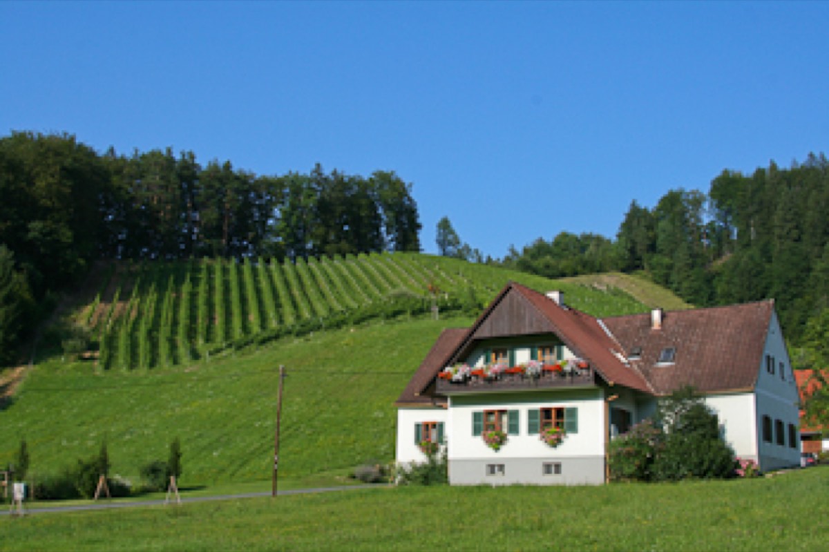 Weingut Postl