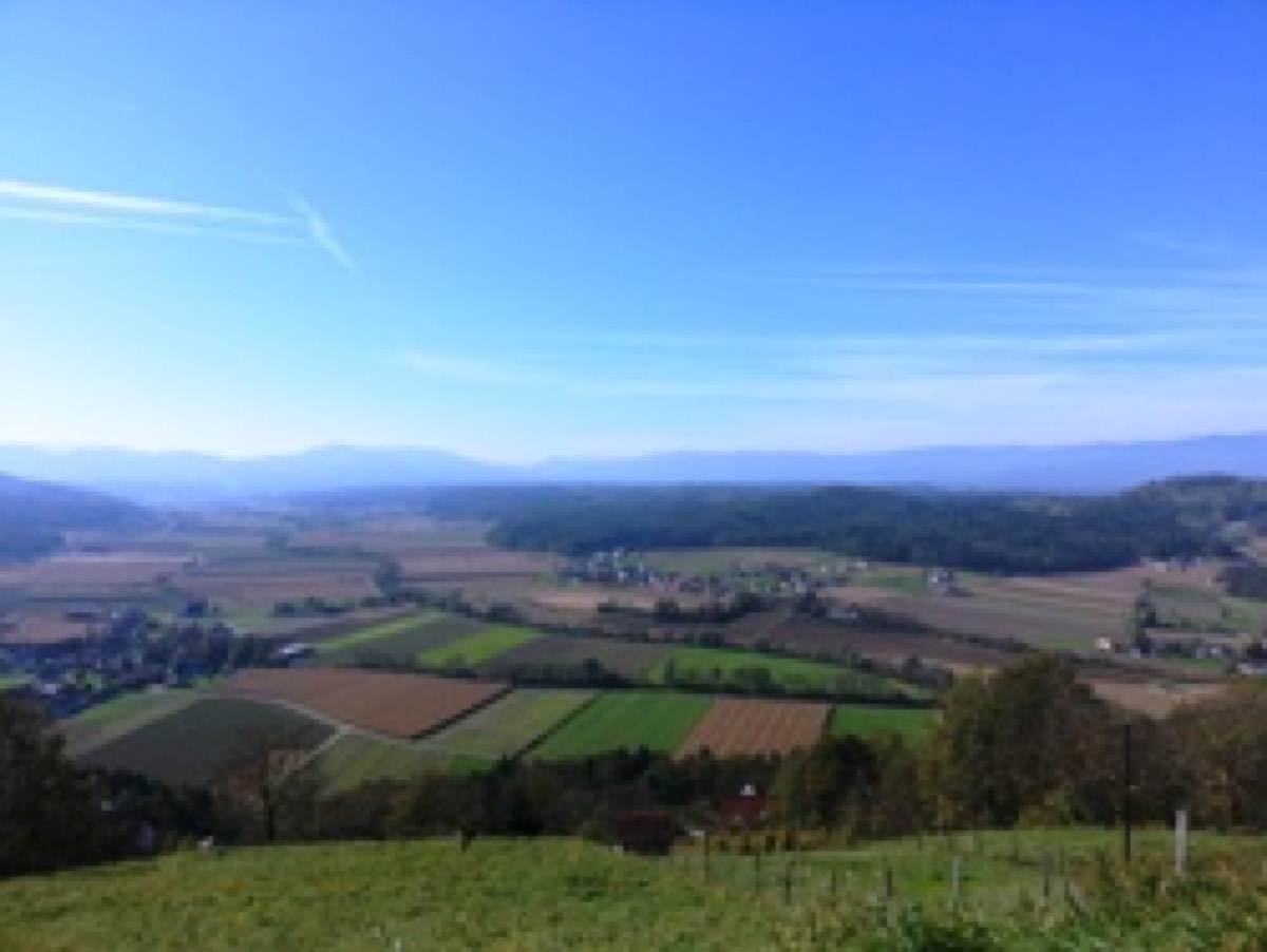 Urlaub-im-Suedsteirerhaus