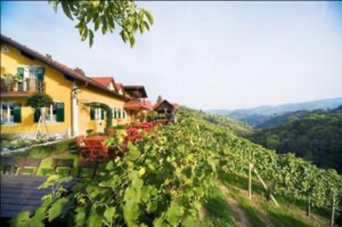 Weingasthaus Sabathihof