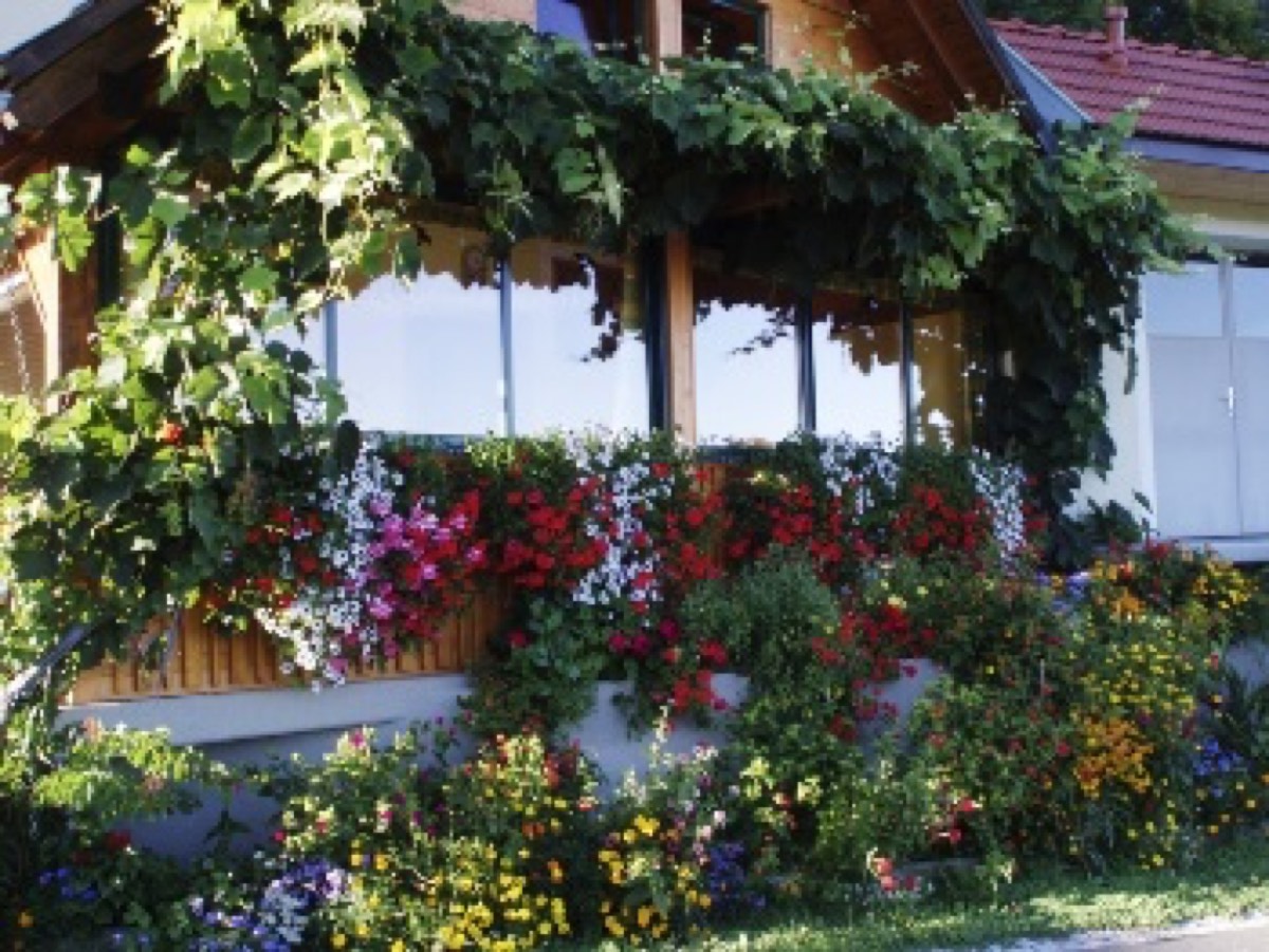Weingut Hernach vlg. Roschitz