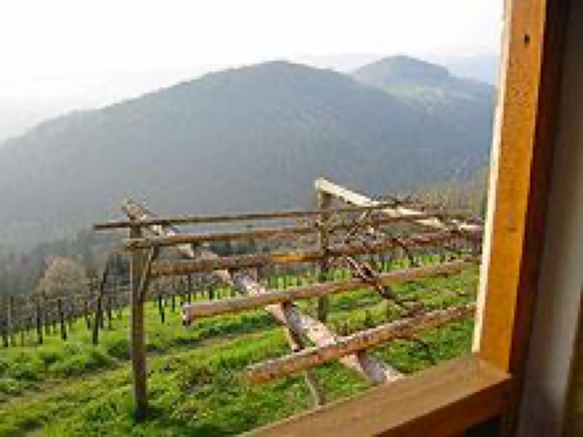 Ferienhaus Haring