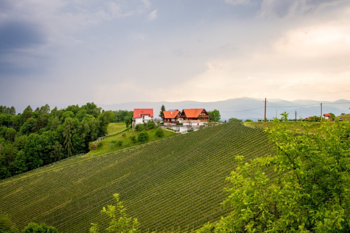 Urlaub am Bauernhof Pauritsch