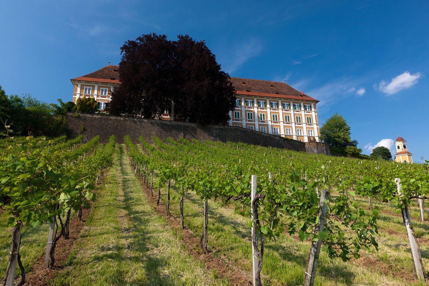 Schloss Stainz über den Weingärten