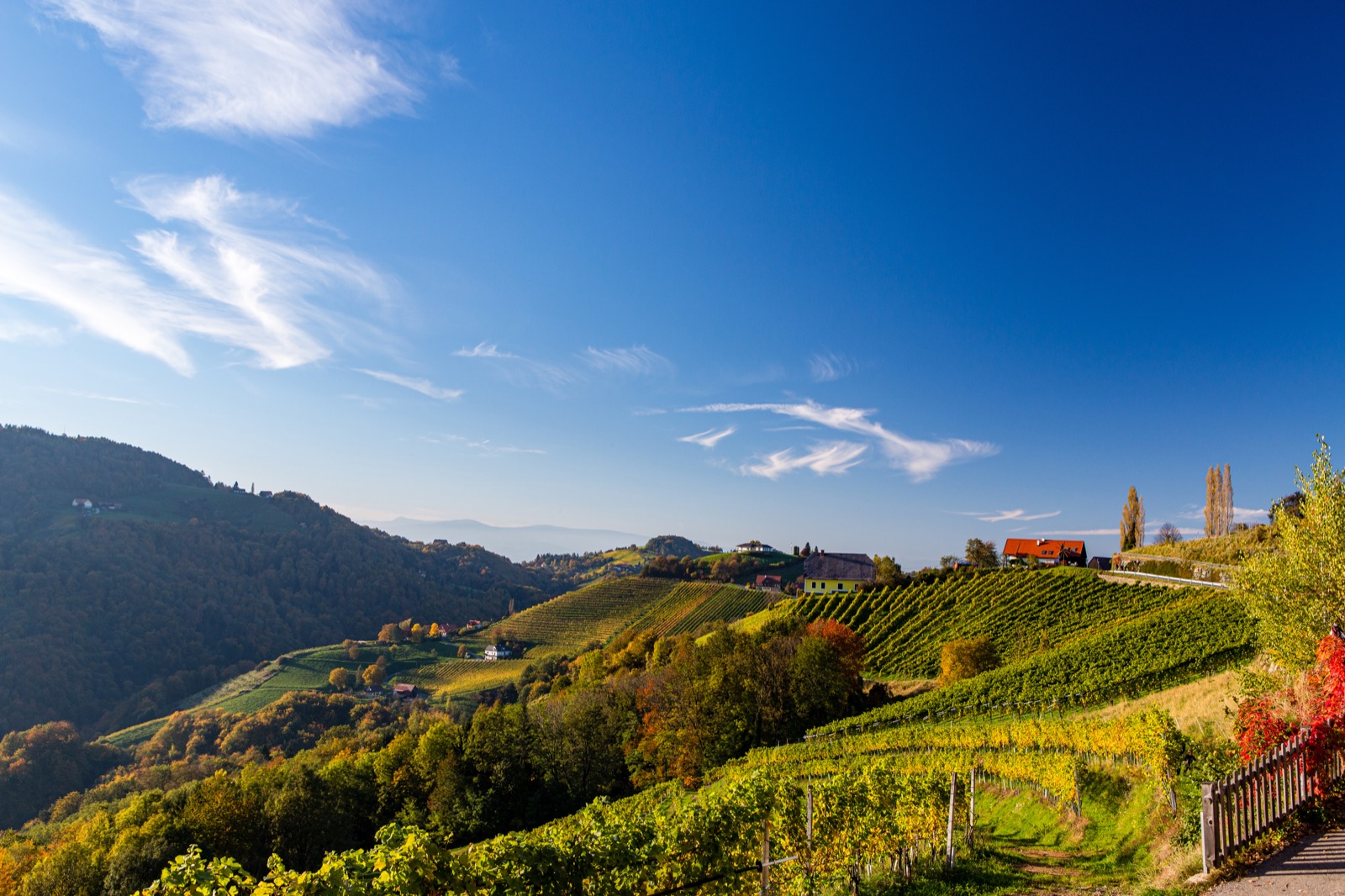 Dorf inmitten der Weinberge von Gamlitz