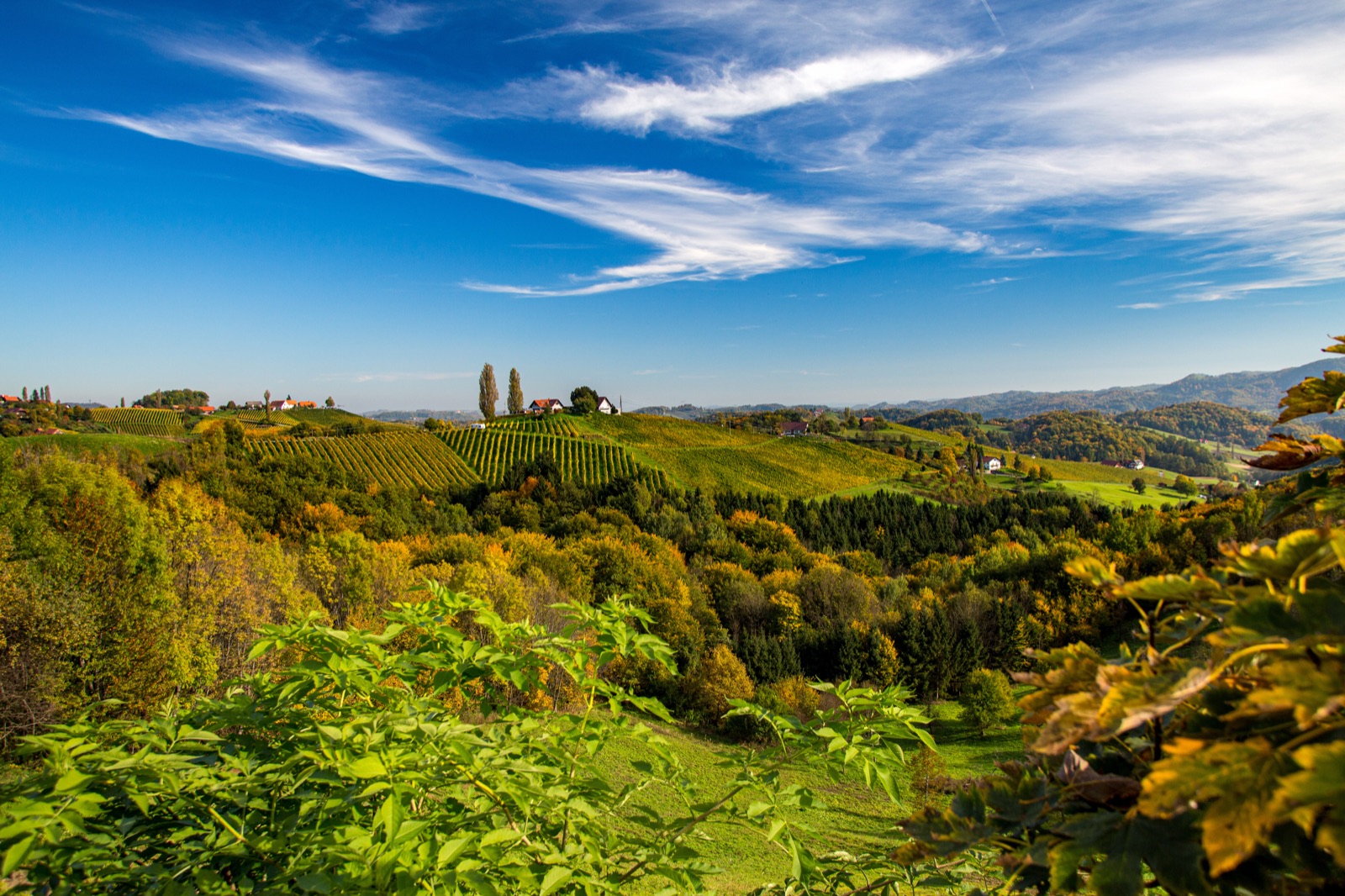 Südsteirische Weinstraße