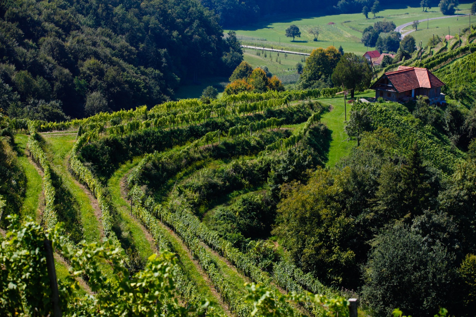 Sausaler Weinstraße