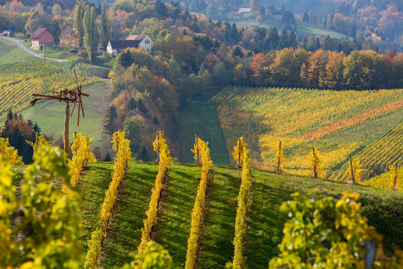 Weingut in der Region Seggauberg