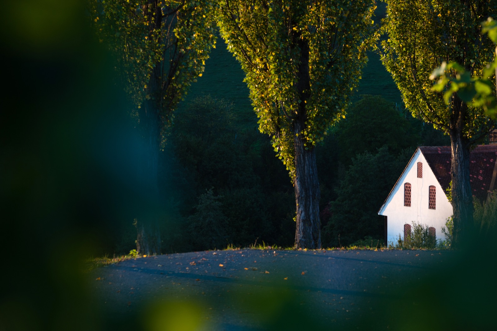 Landschaft rund um Oberhaag